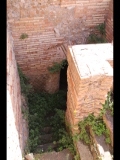 08422 ostia - regio v - insula iii - domus del pozzo (v,iii,3) - raum (1) - suedostecke - treppe zum keller.jpg